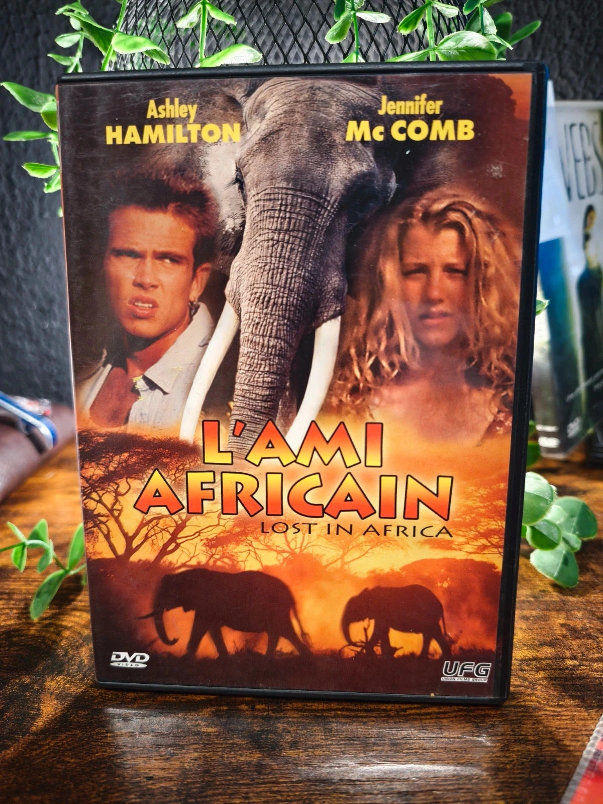 L'ami africain